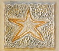 Ancient sea starfish flat square textured background on the wall