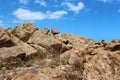 Ancient sedimentary rocks at Yallingup, Western Australia.