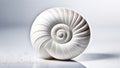 Ancient white shell with spiral pattern on white mirror background with reflection. Chambered nautilus (Nautilus Royalty Free Stock Photo