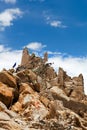 Ancient Shey Palace in Leh, Jammu and Kashmir, India Royalty Free Stock Photo