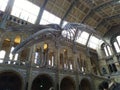 Ancient skeleton museum beautiful day United Kingdom,