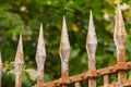 Ancient spiked rusty wrought iron fence with green foliage Royalty Free Stock Photo