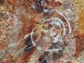 An Ancient Spiral Petroglyph