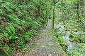 Ancient stairway in Zhangjiajie Forest Park.