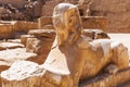 Ancient statue of sphinx in Karnak temple Royalty Free Stock Photo
