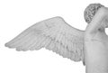 Ancient statue. Wing of angel. Statue detail isolated on white background with clipping path Royalty Free Stock Photo