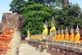 Ancient Buddha statues in row meditating, in the ancient temple of Wat Yai Chaimongkol in Ayutthaya, Thailand.