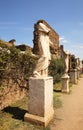 Ancient statues in Roman Forum. Rome Royalty Free Stock Photo