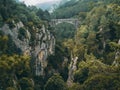 Ancient stone bridge spanning a lush forested gorge Royalty Free Stock Photo