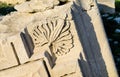Ancient stone carving in Amathus, Cyprus, close up Royalty Free Stock Photo