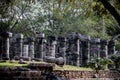 Ancient stone columns in Chichen Itza forest. Royalty Free Stock Photo