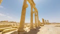 Ancient Stone Columns and Ruins Royalty Free Stock Photo
