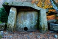 Ancient stone dolmen in the autumn forest Royalty Free Stock Photo