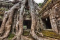 Ancient stone door and tree roots, Ta Prohm temple, Angkor, Camb