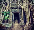 Ancient stone door and tree roots, Ta Prohm temple, Angkor, Camb