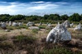 Ancient Stone Field Alignements De Menhir Carnac With Neolithic Megaliths In Brittany, France Royalty Free Stock Photo