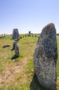 Ancient stone henge on Oland island