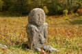 Ancient stone idol