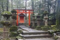 Ancient Stone Lanterns in Nara Park, Japan