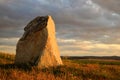 Ancient stone menhir on meadow.