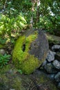 Ancient Stone Money in Jungle on Yap Royalty Free Stock Photo