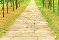 Ancient stone path in garden Royalty Free Stock Photo