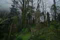 Ancient stone piles in Sapa Royalty Free Stock Photo