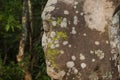 Ancient stone ruin in Angkor Wat temple. Weathered and mossy stone face. Khmer heritage temple ruin in jungle.