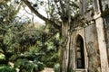 Ancient stone ruins in a leafy garden of Sintra