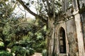 Ancient stone ruins in a leafy garden of Sintra Royalty Free Stock Photo