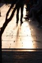 Ancient stone slabs in the sun with silhouettes Royalty Free Stock Photo