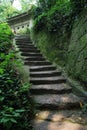 Ancient stone stairs with green moss Royalty Free Stock Photo