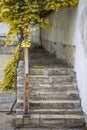 Ancient stone stairs Royalty Free Stock Photo