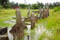 Ancient stone stelae at Tiya, Ethiopia