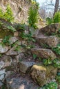 Ancient stone steps and ferns in Corsica Royalty Free Stock Photo