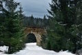 Ancient stone viaduct bridge in the coniferous forest. Winter landscape.