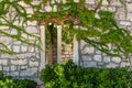 Ancient stone wall and window covered with ivy, background pattern Royalty Free Stock Photo