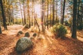 Ancient Stones, Boulders From The Ice Age In Beautiful Wild Autumn Forest During Sunset Sunrise. Belarus, Berezinsky Royalty Free Stock Photo