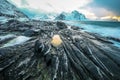 Ancient stones on the shores of cold Norwegian Sea at evening time. Lofoten islands. Beautiful Norway landscape. Royalty Free Stock Photo