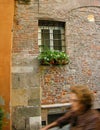 Ancient street Lucca tuscany