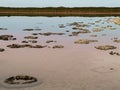 Ancient Stromatolites Royalty Free Stock Photo