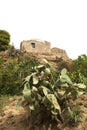 Ancient structures in the gardens of Valley of Temples, Agrigento, Sicily, Italy Royalty Free Stock Photo