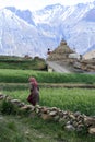 Ancient stupa near paddy field, Northen India