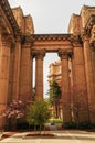 Ancient-style columns with blooming trees in a serene urban setting Royalty Free Stock Photo