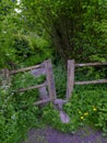 Ancient style on a footpath in the Lythes near Selborne, Hampshire, UK Royalty Free Stock Photo