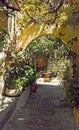 Sunlit alleyway in rhodes town with yellow stone arches between walls and flowers growing in pot plants