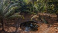 Ancient swimming pool filled with dark water in the creepy forest at the island Manadhoo the capital of Noonu atoll Royalty Free Stock Photo