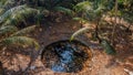 Ancient swimming pool filled with dark water in the creepy jungles at the island Manadhoo the capital of Noonu atoll Royalty Free Stock Photo