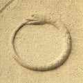 Ouroboros ancient symbol depicting a serpent or dragon eating it