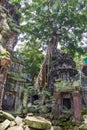 Ancient Ta Prohm or Rajavihara Temple